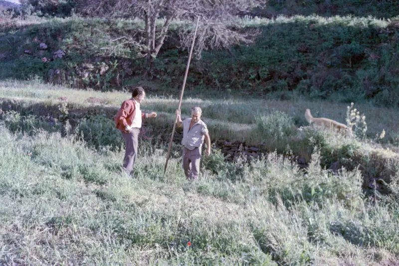 Lansas en Hoya grande.